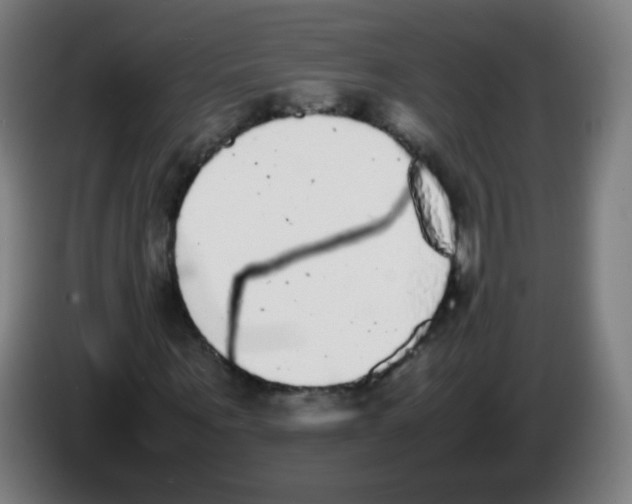 X0000086240867200704261914