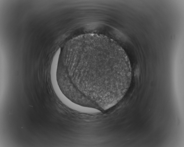 X0000086240868200704261914