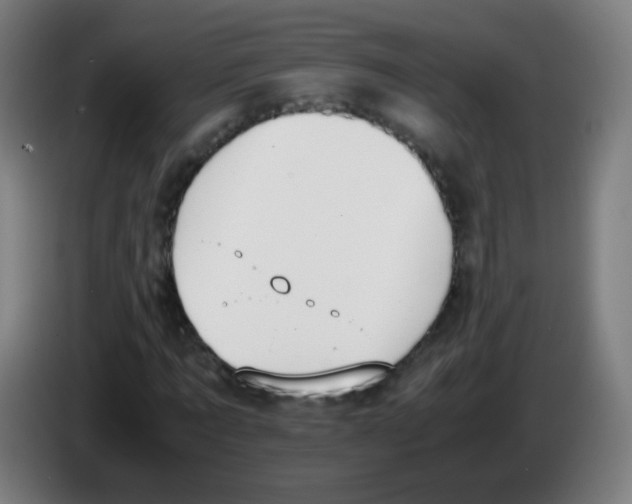 X0000086240869200704261914