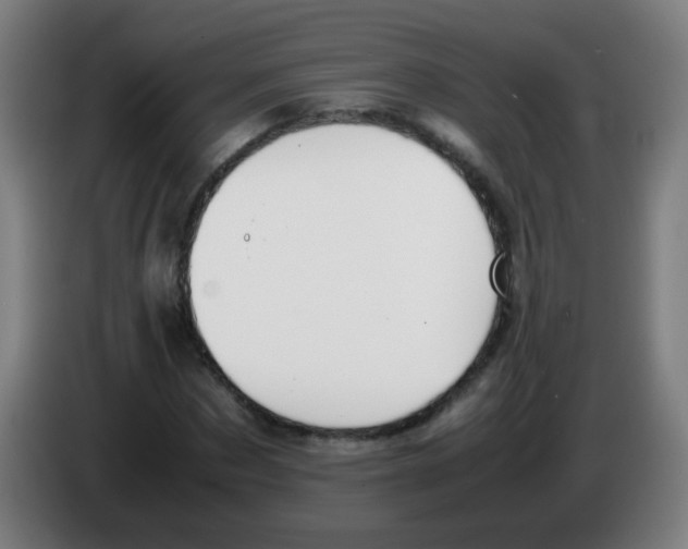 X0000086240873200704261914
