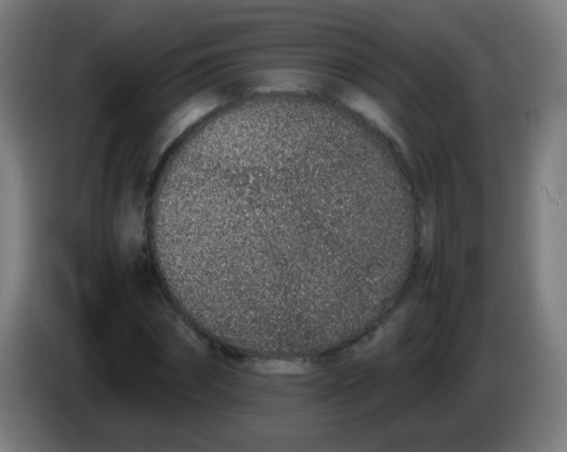 X0000086240874200704261914