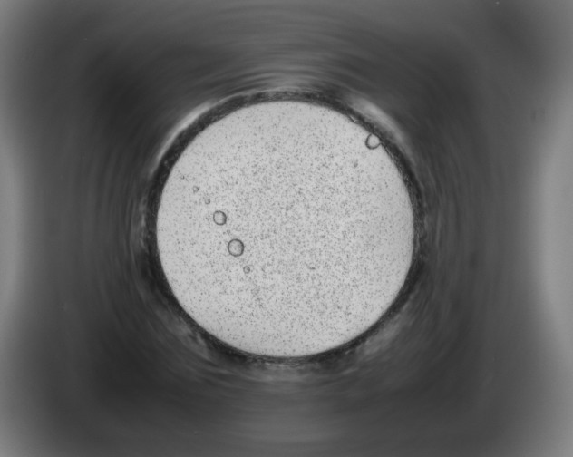 X0000086240875200704261914