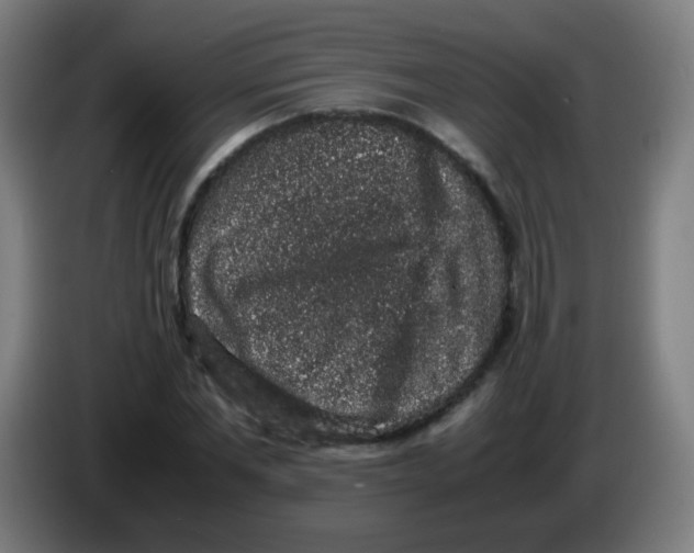 X0000086240877200704261914