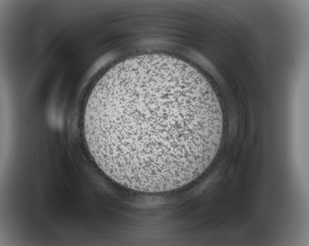 X0000086240878200704261914