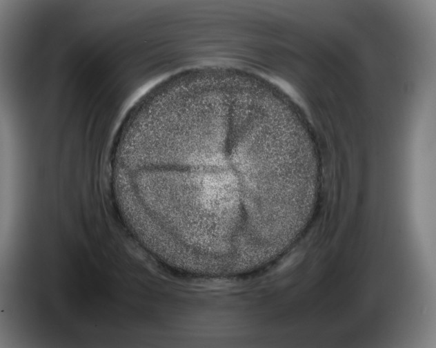 X0000086240879200704261914