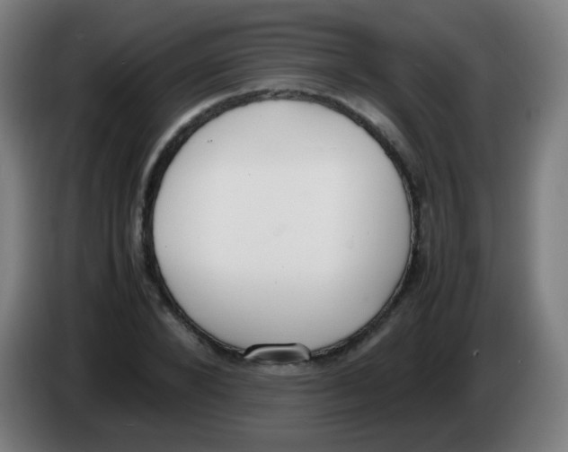 X0000086240880200704261914