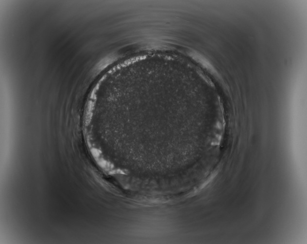 X0000086240881200704261914
