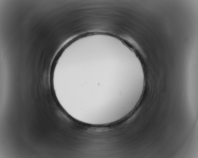 X0000086240884200704261914