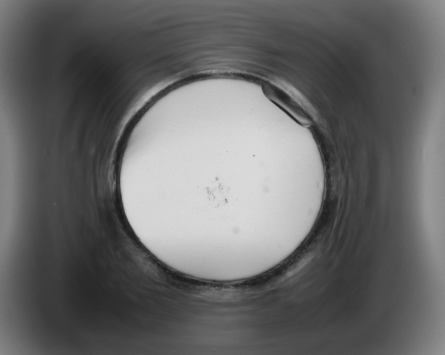 X0000086240885200704261914