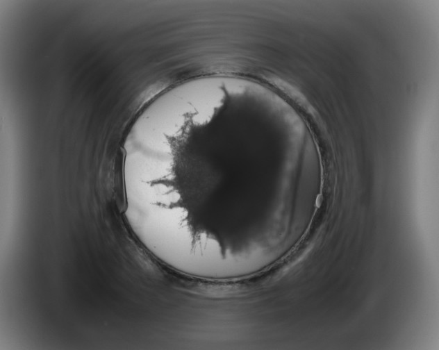 X0000086240889200704261914