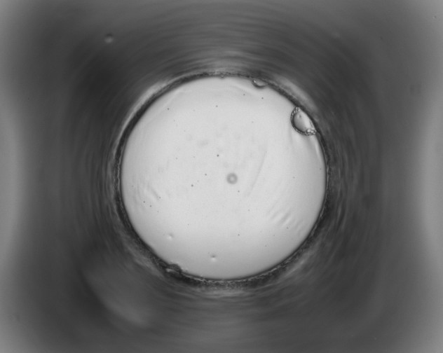 X0000086240891200704261914