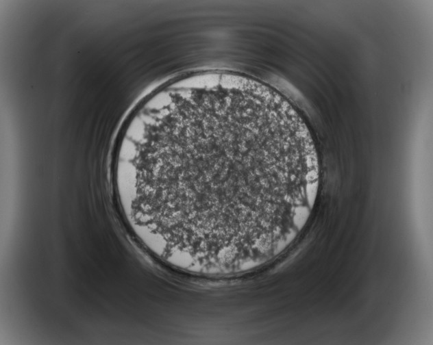 X0000086240892200704261914