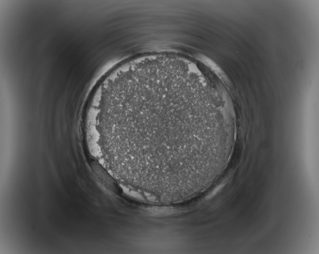 X0000086240893200704261914
