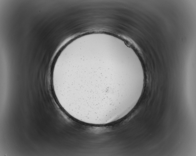 X0000086240894200704261914
