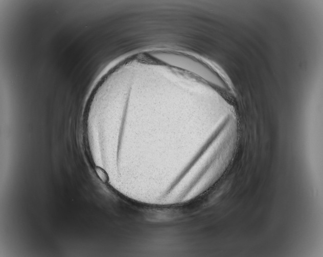 X0000086240895200704261914