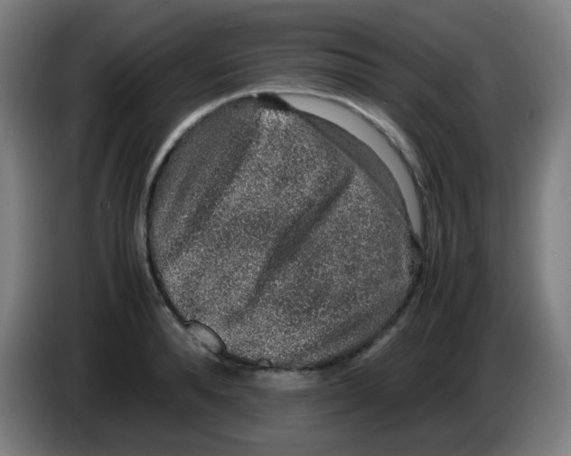 X0000086240896200704261914