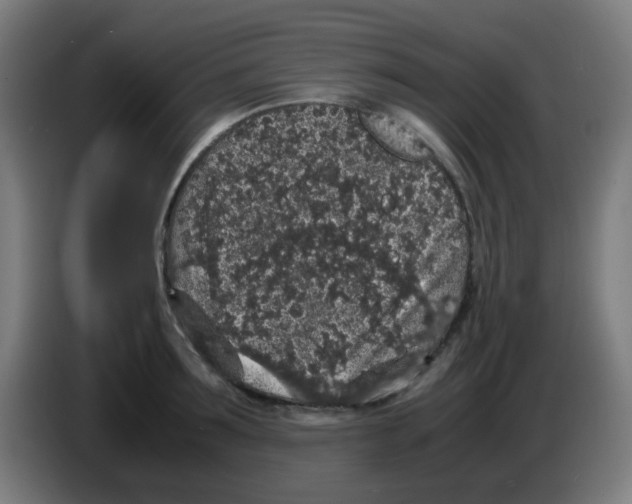X0000086240899200704261914