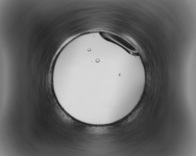 X0000086240900200704261914