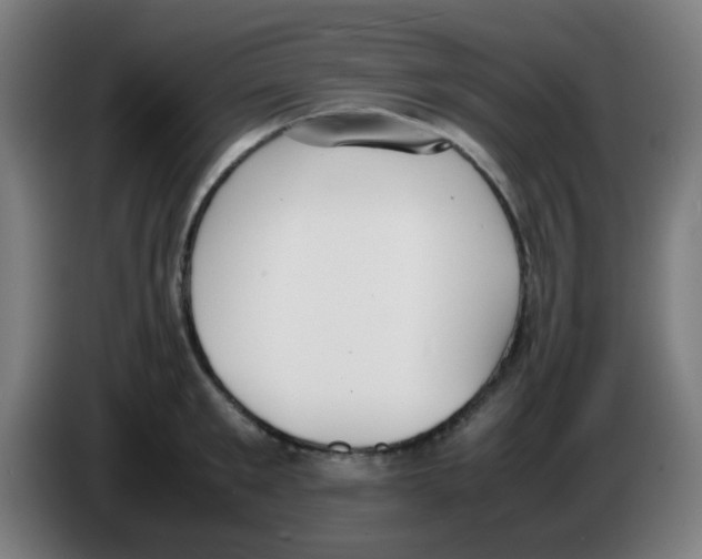 X0000086240901200704261914