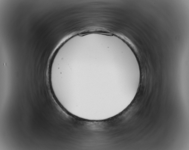 X0000086240902200704261914