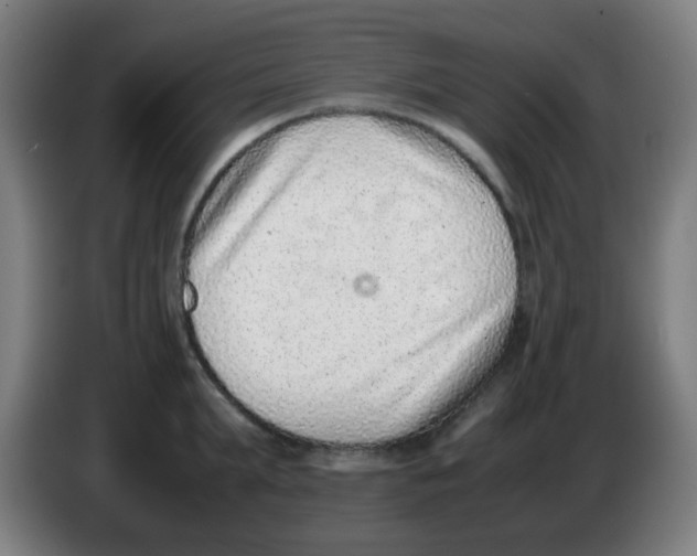 X0000086240903200704261913