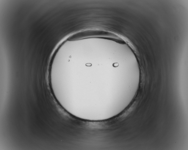 X0000086240904200704261913