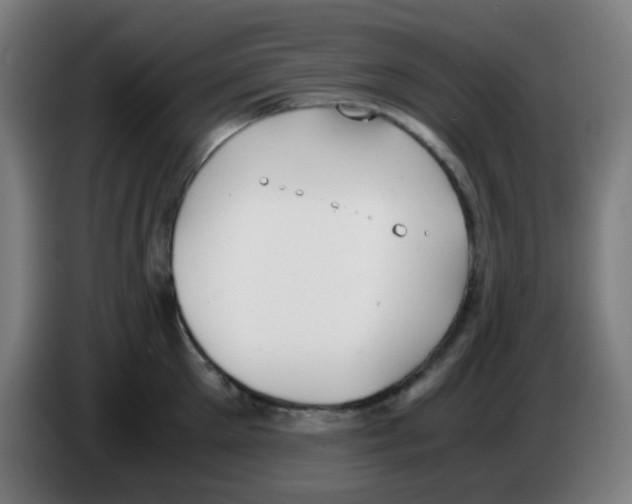 X0000086240905200704261913
