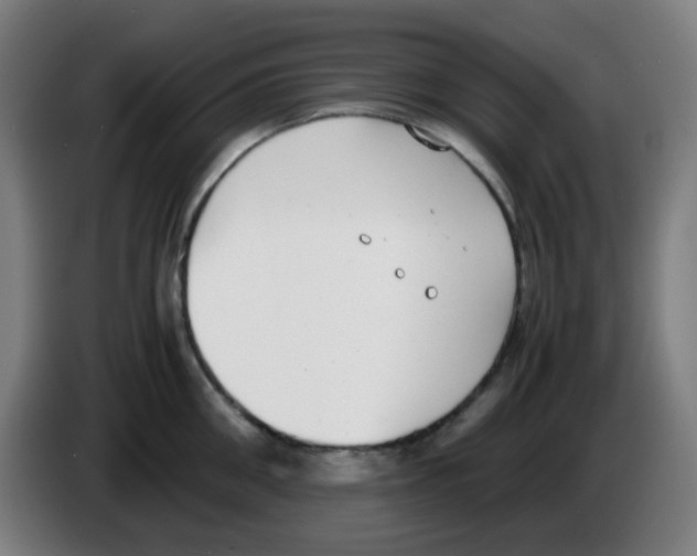 X0000086240906200704261913