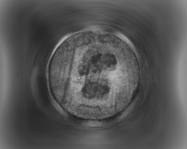 X0000086240907200704261913