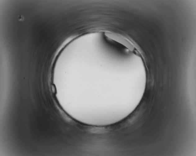 X0000086240909200704261913