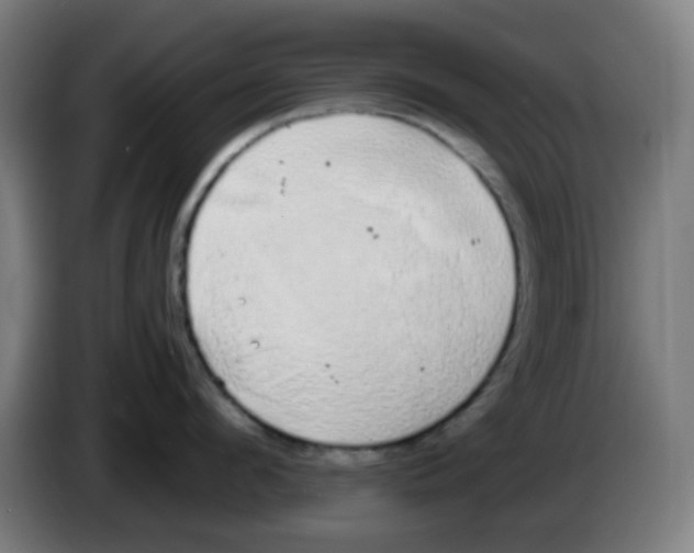 X0000086240912200704261913