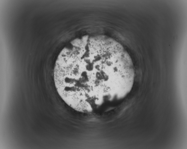 X0000086240913200704261913