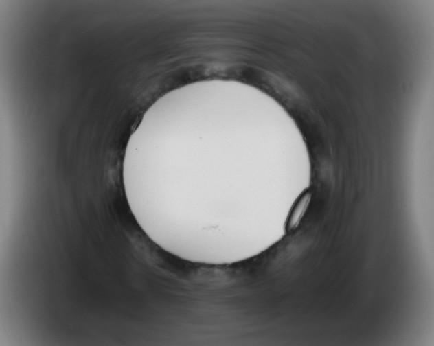 X0000086240914200704261913