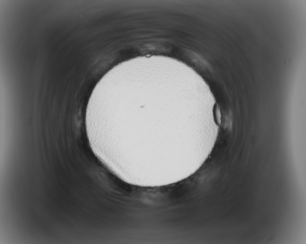 X0000086240915200704261913