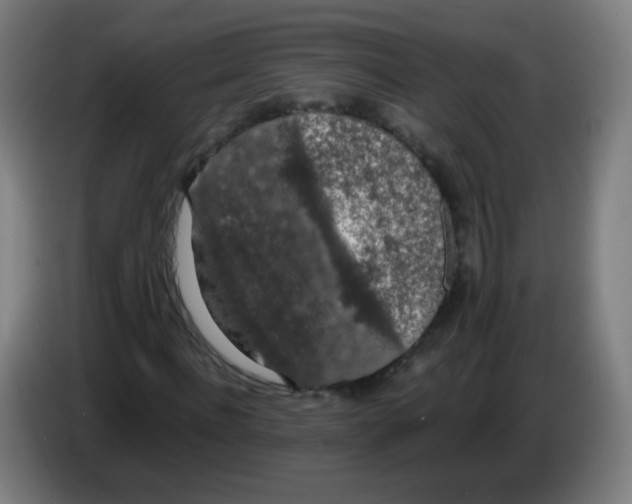 X0000086240916200704261913