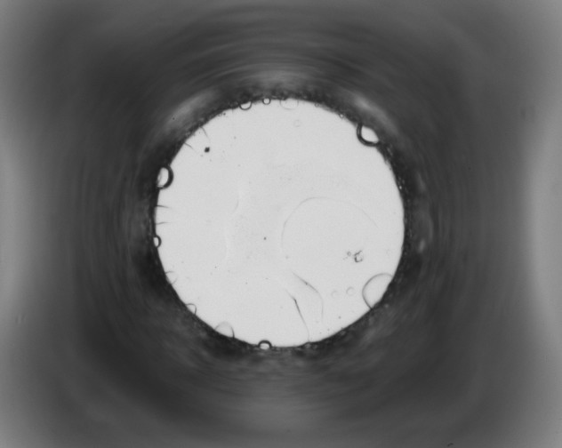 X0000086240918200704261913