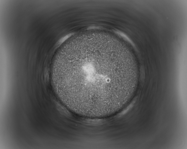 X0000086240921200704261913