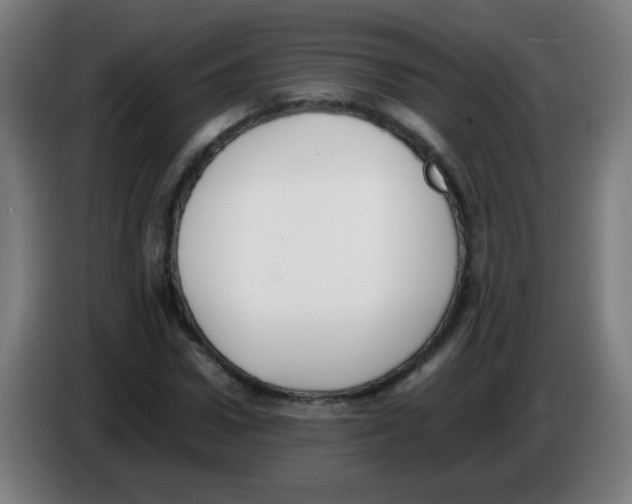 X0000086240922200704261913