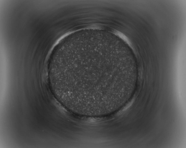 X0000086240923200704261913