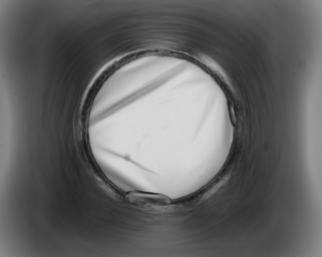 X0000086240924200704261913