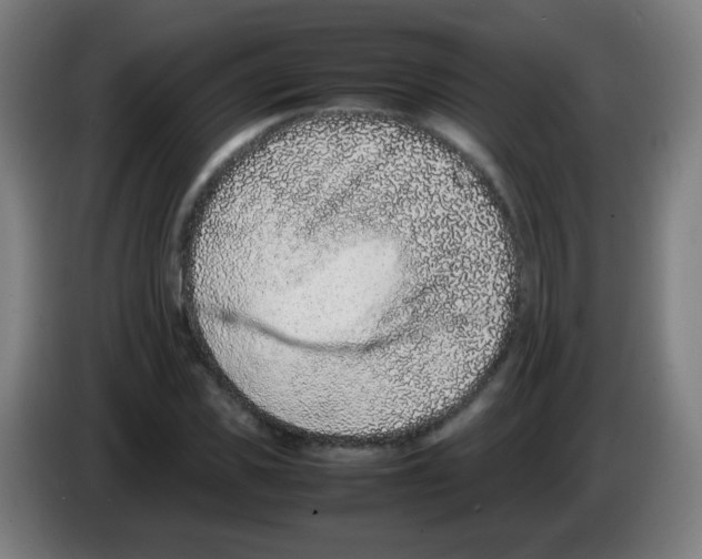 X0000086240925200704261913