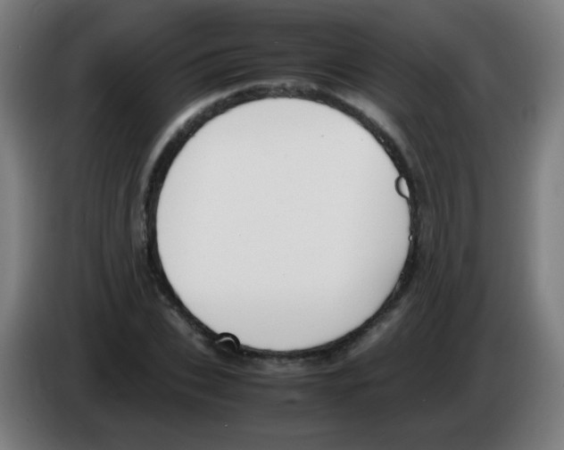 X0000086240927200704261913