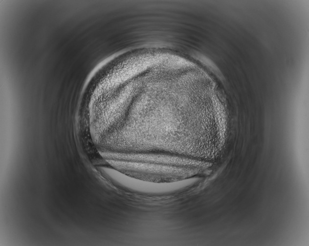 X0000086240928200704261913