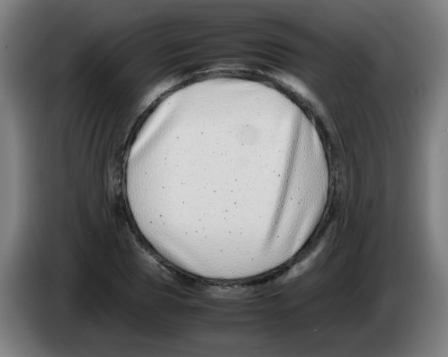 X0000086240929200704261913