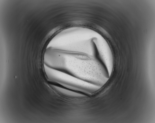 X0000086240930200704261913