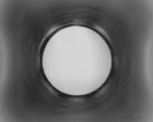 X0000086240931200704261913