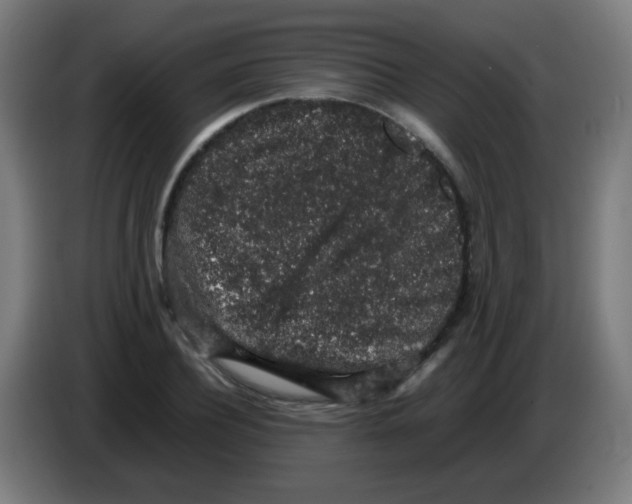X0000086240932200704261913