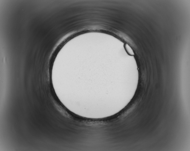 X0000086240934200704261913