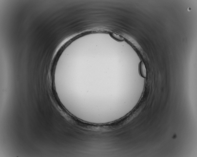 X0000086240936200704261913