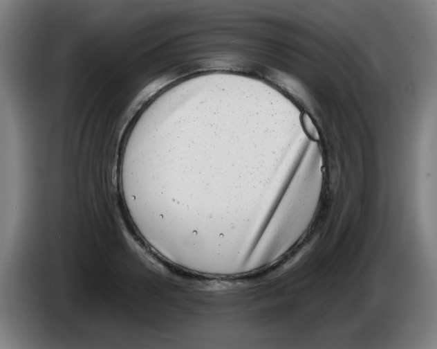 X0000086240938200704261913